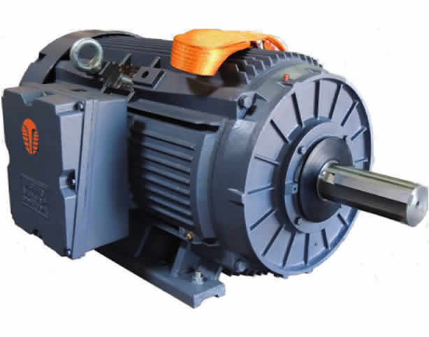 AC Electric Motors